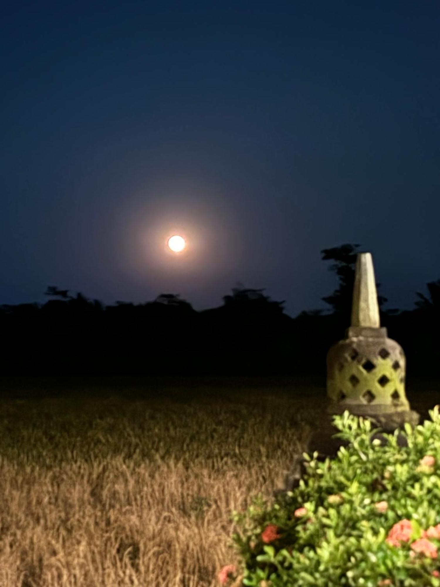 Rumah Dharma Magelang Exterior photo